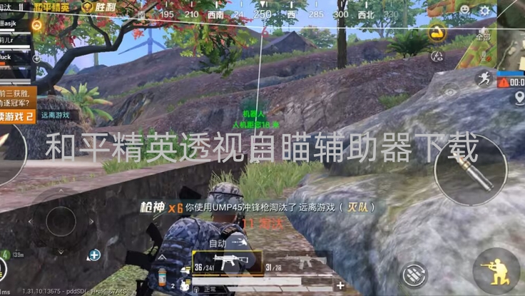和平精英透视自瞄辅助器下载-和平直装【最右】